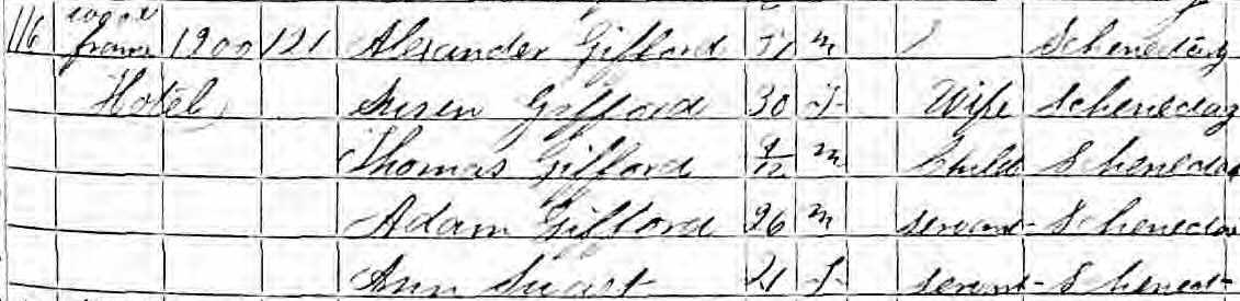 1865 NY census
entry for Alexander Gifford
