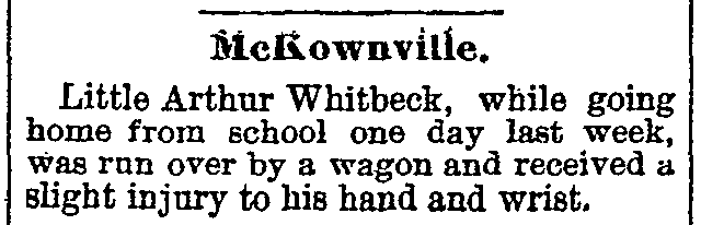 Altamont
Enterprise clip 1895-04-05