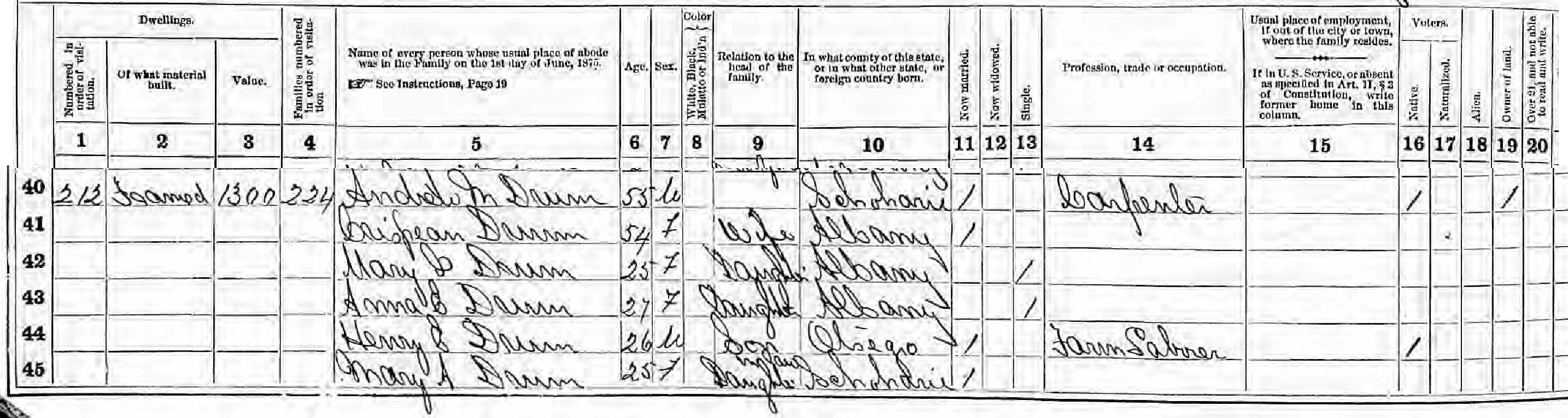 Drumms1875census