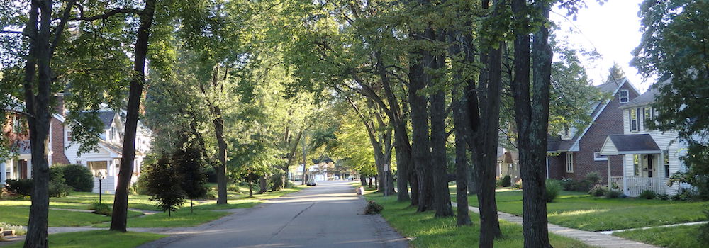 McKownville - Elmwood
            Street