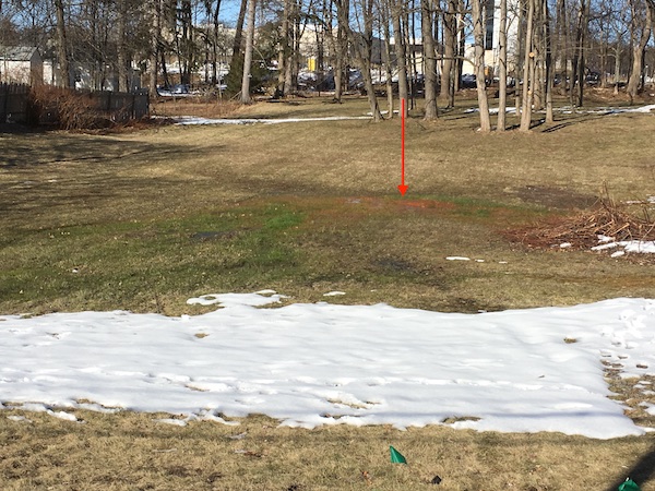 spring from base of
Colonie Sand, 1257 Western Avenue