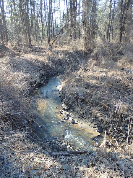 Krumkill west branch
stream at McKown Road, 26 Feb 1018