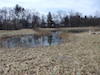 thumbnail image
            SUNY retention pond