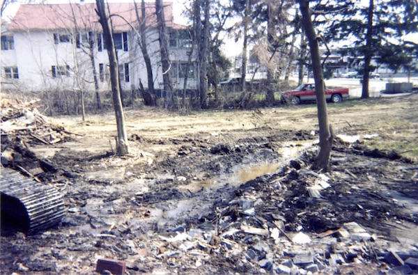 water table showing in
      wet ground in the 1257 Western Ave lot
